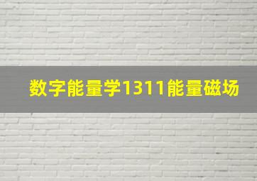 数字能量学1311能量磁场