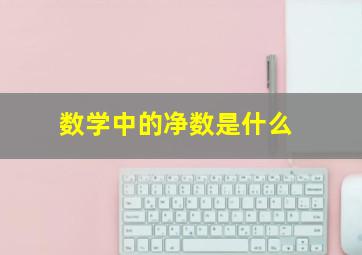 数学中的净数是什么