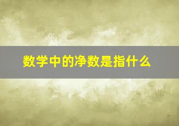 数学中的净数是指什么