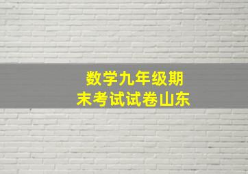 数学九年级期末考试试卷山东