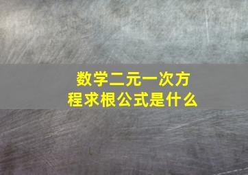 数学二元一次方程求根公式是什么