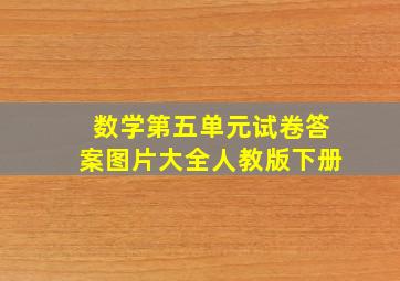 数学第五单元试卷答案图片大全人教版下册