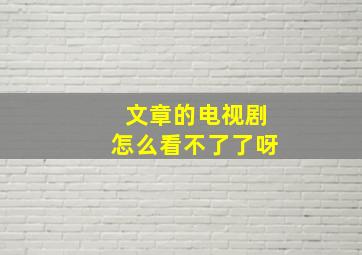 文章的电视剧怎么看不了了呀