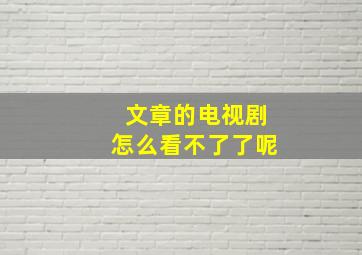 文章的电视剧怎么看不了了呢