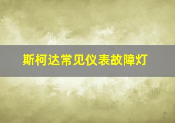 斯柯达常见仪表故障灯