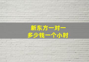 新东方一对一多少钱一个小时