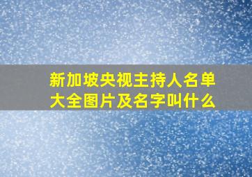 新加坡央视主持人名单大全图片及名字叫什么