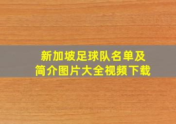 新加坡足球队名单及简介图片大全视频下载