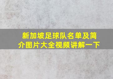 新加坡足球队名单及简介图片大全视频讲解一下