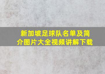 新加坡足球队名单及简介图片大全视频讲解下载