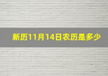 新历11月14日农历是多少