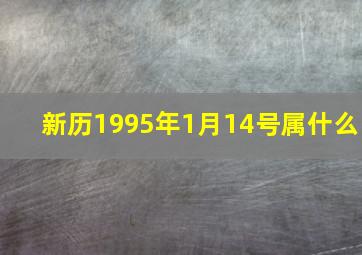 新历1995年1月14号属什么