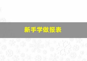 新手学做报表