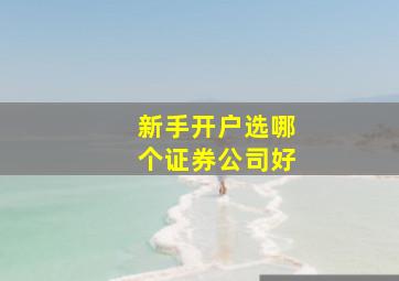 新手开户选哪个证券公司好