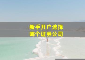 新手开户选择哪个证券公司