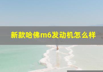 新款哈佛m6发动机怎么样