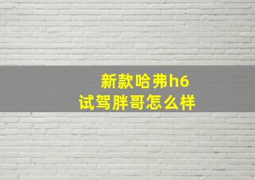 新款哈弗h6试驾胖哥怎么样