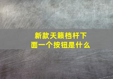 新款天籁档杆下面一个按钮是什么