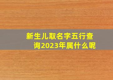 新生儿取名字五行查询2023年属什么呢