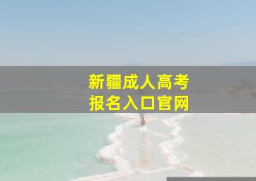 新疆成人高考报名入口官网