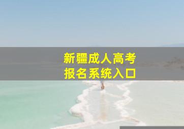 新疆成人高考报名系统入口