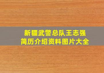 新疆武警总队王志强简历介绍资料图片大全