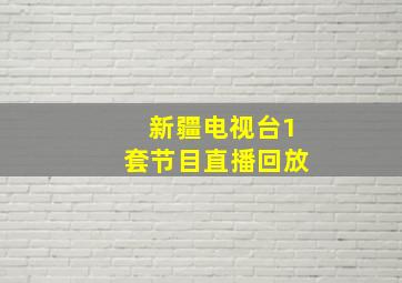 新疆电视台1套节目直播回放