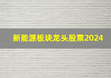 新能源板块龙头股票2024