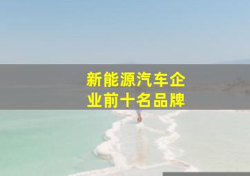 新能源汽车企业前十名品牌