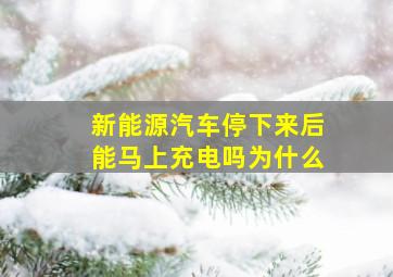 新能源汽车停下来后能马上充电吗为什么