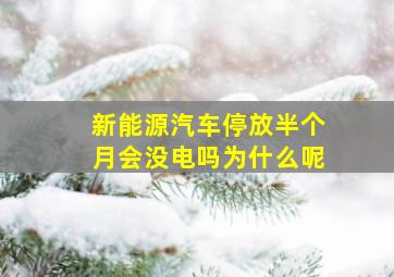 新能源汽车停放半个月会没电吗为什么呢