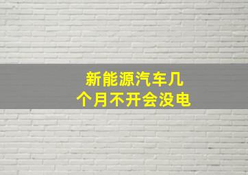 新能源汽车几个月不开会没电