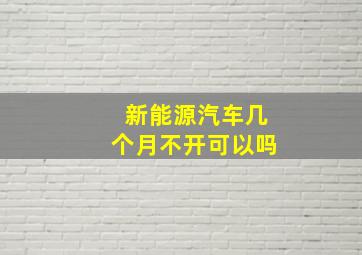 新能源汽车几个月不开可以吗