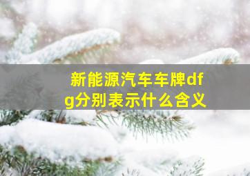 新能源汽车车牌dfg分别表示什么含义