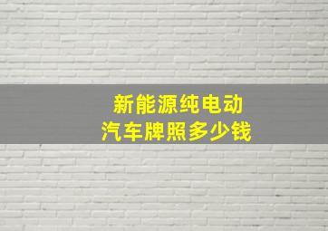 新能源纯电动汽车牌照多少钱