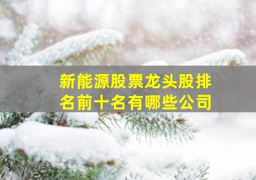 新能源股票龙头股排名前十名有哪些公司