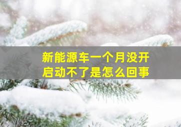 新能源车一个月没开启动不了是怎么回事