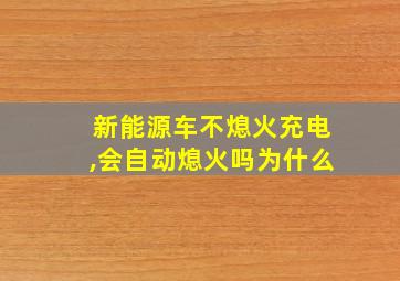 新能源车不熄火充电,会自动熄火吗为什么