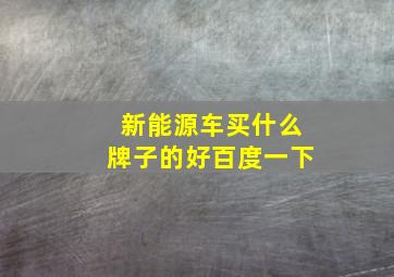 新能源车买什么牌子的好百度一下