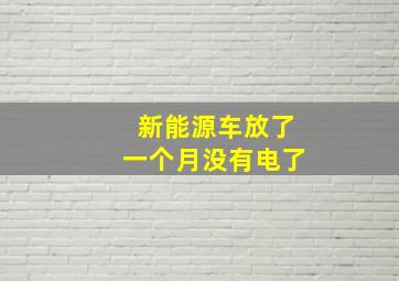 新能源车放了一个月没有电了