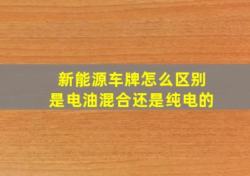 新能源车牌怎么区别是电油混合还是纯电的