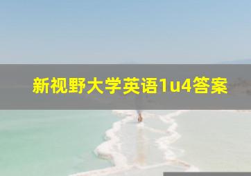 新视野大学英语1u4答案