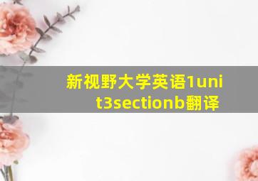 新视野大学英语1unit3sectionb翻译