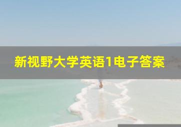 新视野大学英语1电子答案