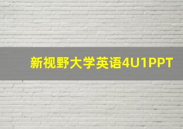 新视野大学英语4U1PPT