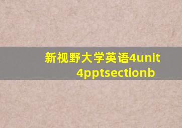 新视野大学英语4unit4pptsectionb