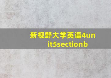 新视野大学英语4unit5sectionb