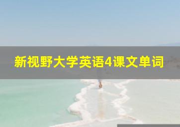 新视野大学英语4课文单词