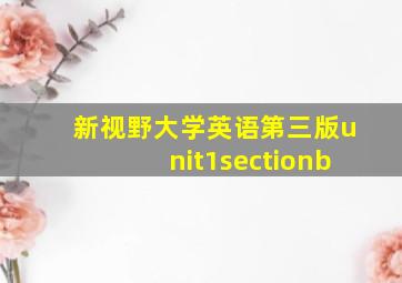 新视野大学英语第三版unit1sectionb