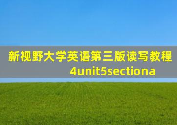 新视野大学英语第三版读写教程4unit5sectiona